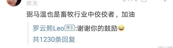 九州仙剑传翻牌攻略：精选角色解析，助你踏上仙途最佳选择！