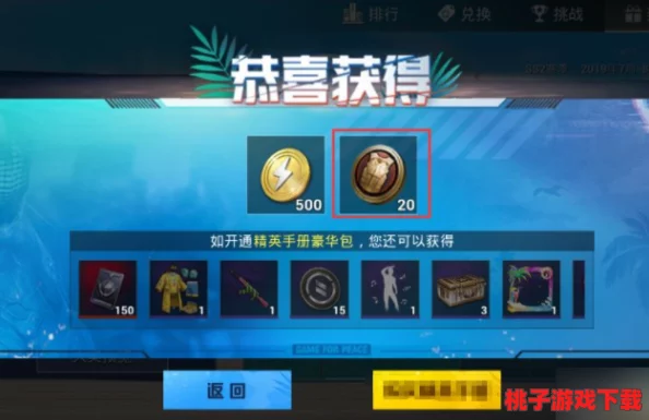 全面攻略：和平精英服饰币高效获取途径与技巧大公开