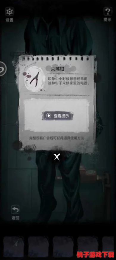《双生怨第一章：迷雾重重解谜行，线索交织破障程》通关策略指南