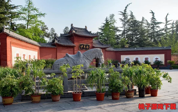 《圣域伏魔录》深度策略：解析最佳职业培养路径，打造无敌降妖除魔之旅