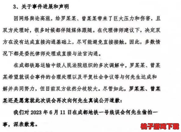 简隋英自己扩充生米进行中，网友纷纷表示支持与质疑并存，期待其后续发展和影响力的提升