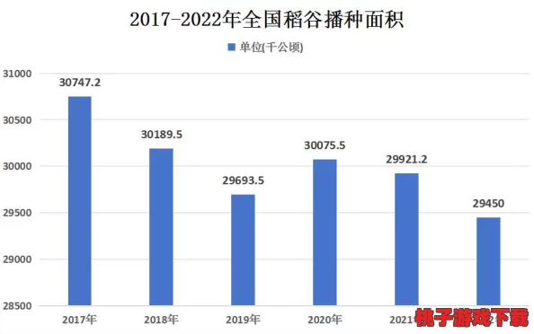 黑枓网：近期进展与未来发展方向的深入分析与探讨