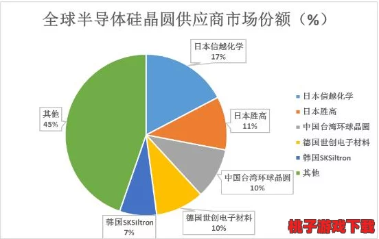 黑枓网：近期进展与未来发展方向的深入分析与探讨
