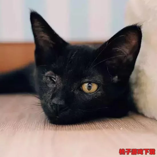 老师你小兔兔真可爱啊，听说它最近还和班里的小猫咪成了好朋友，天天一起玩耍！