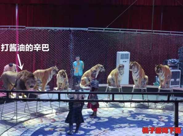 狂欢动物园奇趣帽饰集：探索小丑帽的无限魅力与创意图鉴大全