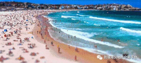 夏日垂钓秘籍：解锁夏尔镇左侧海岸龙虾钓法，尽享鲜美捕捞乐趣