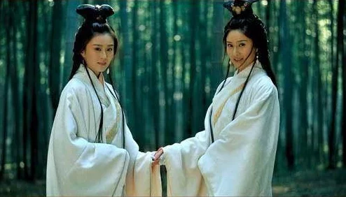 刘备在《大闹三国》中的领袖魅力与伙伴系统深度构建策略全览