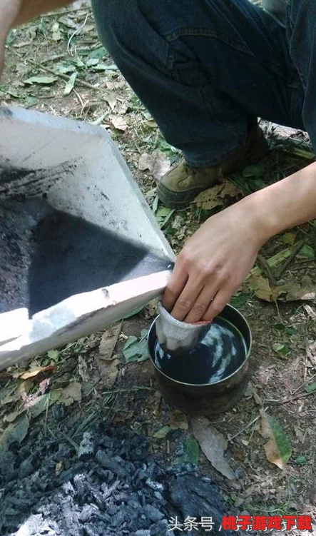 苔藓过滤塔：利用自然生态系统中的苔藓植物进行水质净化的创新技术，提升环境保护与可持续发展的新方法