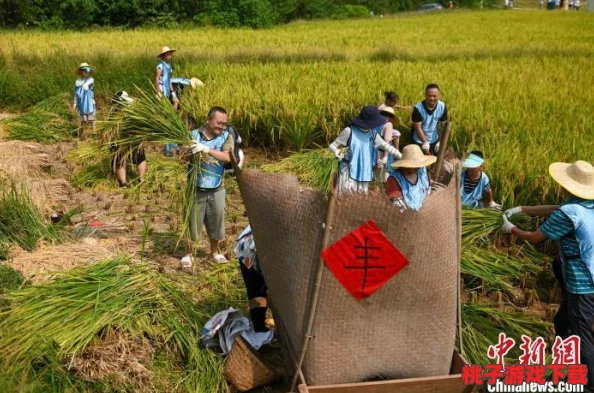 拔萝卜生侯子：讲述了在农村生活中，农民们如何通过辛勤劳动收获丰硕的果实，以及其中蕴含的人生哲理与家庭温情