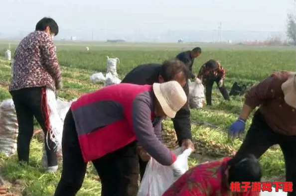 拔萝卜生侯子：讲述了在农村生活中，农民们如何通过辛勤劳动收获丰硕的果实，以及其中蕴含的人生哲理与家庭温情