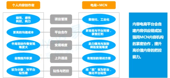 成品网站货源路口：分析电商平台的货源获取与供应链管理策略及其对市场的影响