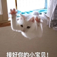 我的猫仆2.0游戏＂曝光：玩家可与虚拟猫咪互动，引发网友热议