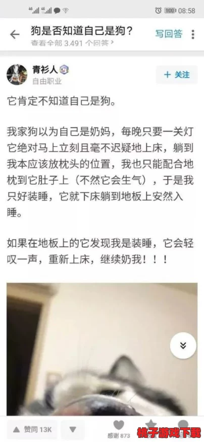 西西gogo：这一事件引发数百万网友热议，背后真相令人咋舌！