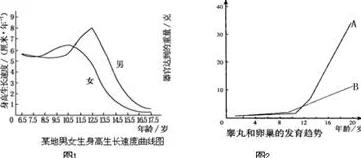 破苞第一次女初：揭示女性在成长过程中经历的生理与心理变化，以及这一重要时刻对她们未来生活的影响