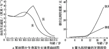 破苞第一次女初：揭示女性在成长过程中经历的生理与心理变化，以及这一重要时刻对她们未来生活的影响