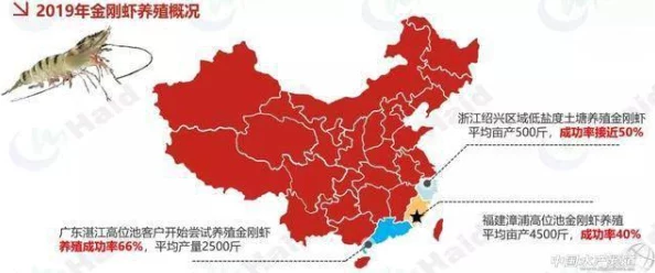 缅北禁区黄色：当地局势骤然恶化，武装冲突加剧，国际社会高度关注人道危机引发的连锁反应