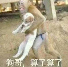 二人生猴子全程不盖被子，网友纷纷表示：这画面太搞笑了，难道是为了让猴子感受人类的温暖吗？