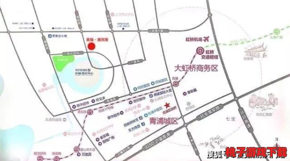 4虎换哪个网名了2024？深入理解其背后的原因与影响