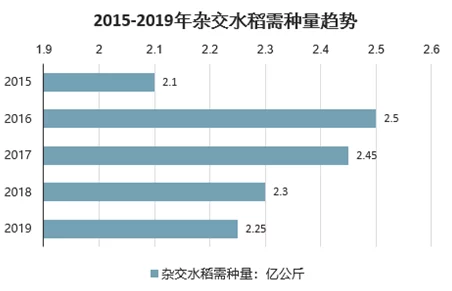 17c路cv：解析17c路的交通状况与未来发展规划，关注城市交通网络的优化与提升