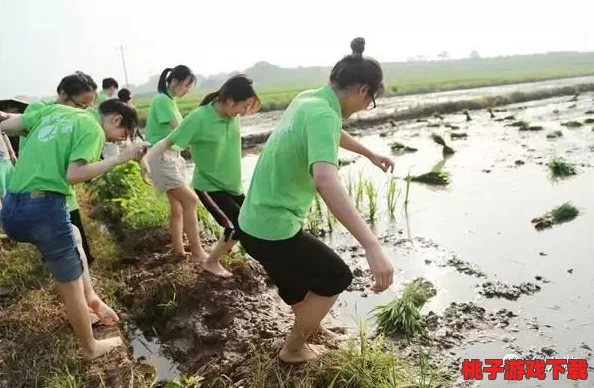 又大又黄又粗又刺激的拔萝卜，这是一场充满乐趣与挑战的农田活动，参与者们在欢声笑语中体验收获的喜悦