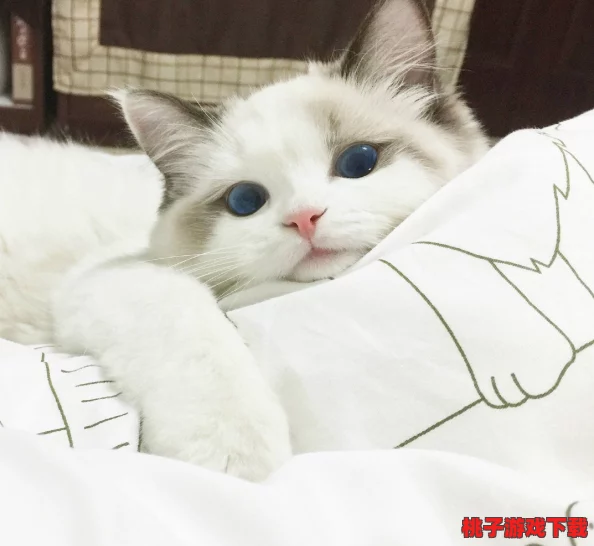 猫咪海外最新地域网名是：全球最受欢迎的猫咪头像惊现，猫奴们纷纷追捧！