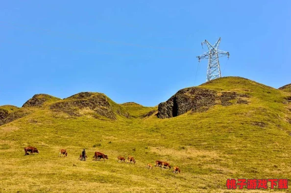 东南亚仙踪：探寻神秘的东南亚文化与自然奇观，揭开这片土地上隐藏的历史与传说之美
