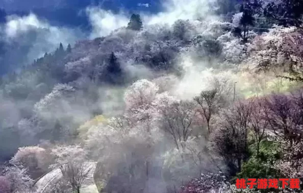 东南亚仙踪：探寻神秘的东南亚文化与自然奇观，揭开这片土地上隐藏的历史与传说之美