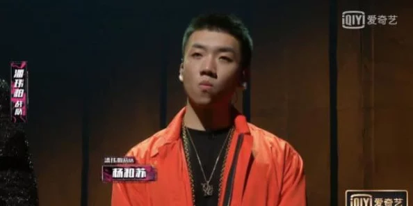 杨和苏最后的狂欢在第几集＂曝八卦：终极大结局引发网友热议