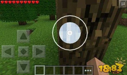 暴躁老外玩minecraft大型纪录片：从初学者到高手的成长历程与精彩瞬间全记录