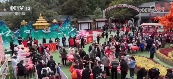 Christmas农村夫妻ho：在乡村小镇上庆祝节日的温馨故事与传统习俗