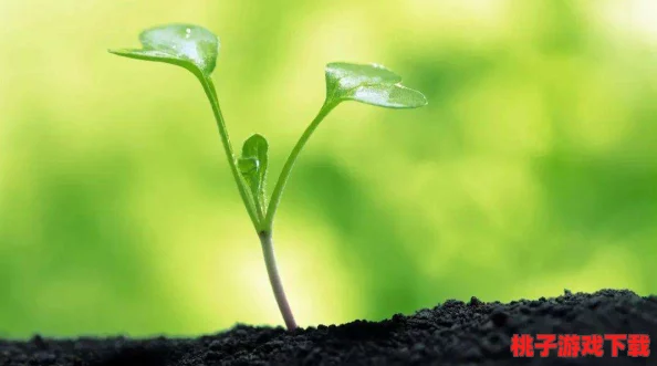 嫩叶草研究一二三线路：最新进展与应用前景分析，推动植物生长与生态恢复的创新方法
