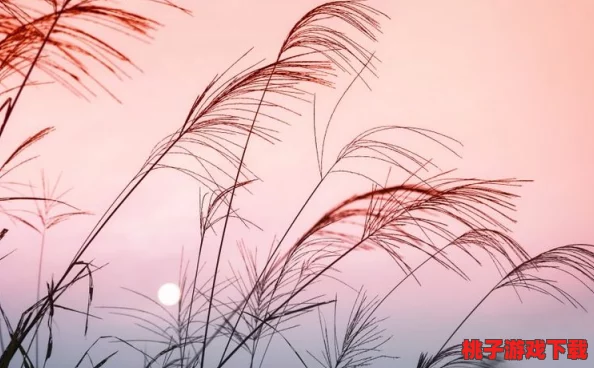 芦苇地里要妈妈要说福原文：探讨亲情与自然的交融，感受母爱的温暖与力量