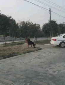 男女生猴子不盖被子，竟然引发宿舍内一场不可思议的事件！