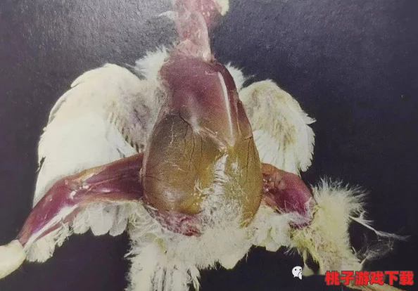 沈先生的花式婚后生活：揭示他与妻子在日常生活中如何创造独特而有趣的相处方式，展现幸福婚姻的多样性