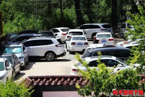 长了个小批后被爆炒了：从社会现象看网络文化对年轻人心理的影响与反思