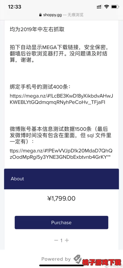 红桃视频官方隐藏人口，用户数据泄露引发广泛关注，专家称安全隐患极大！