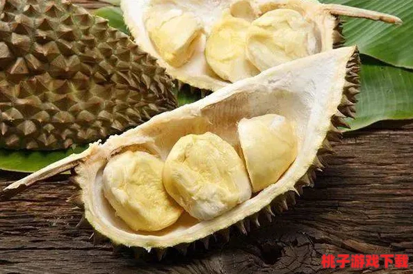 城人榴莲视频：探讨这一现象背后的文化意义与社会影响，揭示其在当代网络环境中的流行原因
