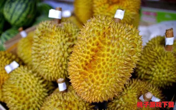 城人榴莲视频：探讨这一现象背后的文化意义与社会影响，揭示其在当代网络环境中的流行原因