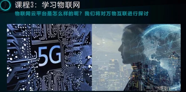 国产精品伦子一区二区三区：全网热议的神秘事件曝光，背后真相令人难以置信！