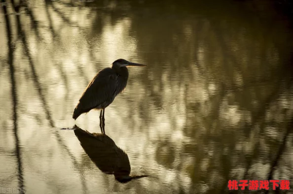 《刀锋无双》手游震撼上线，安卓新区282服‘似曾相识’今日荣耀启航，再续江湖传奇！