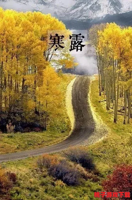 あなたは母がいない什么意思？探讨这一句子在不同文化和情感背景下的深层含义与影响