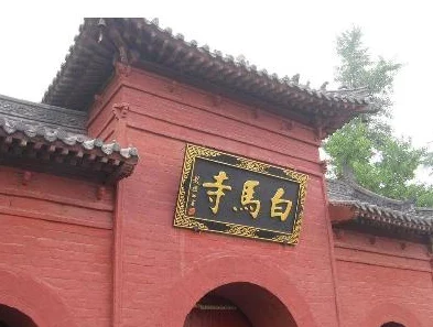 倾城一笑，白衣侠客白马伴行：江湖坐骑全貌与风姿独赏解析