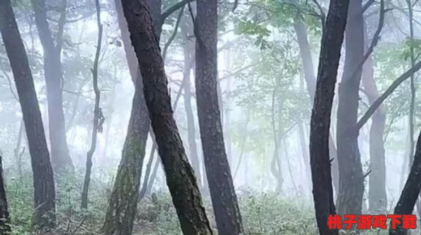 豌豆直播仙林踪仙林踪：震撼消息曝光，千年古林竟隐藏着未知的神秘生物，让科技界人士惊叹不已！