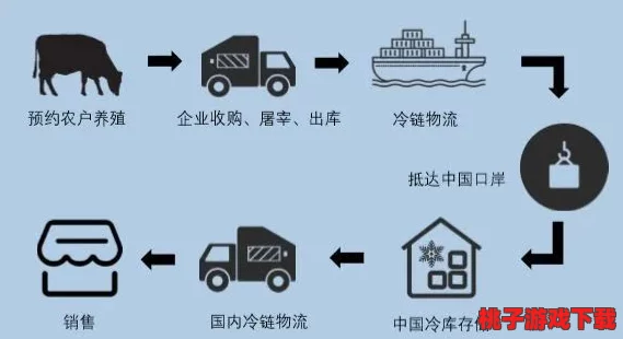 当我解锁肉禽系统，方知世界之奥妙