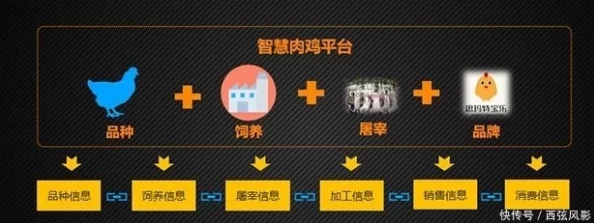 当我解锁肉禽系统，方知世界之奥妙