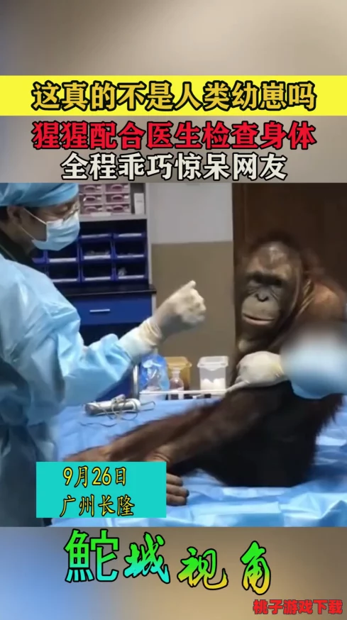 巨大巨粗巨长的黑吊免费视频引发网友热议，竟然还有这样的内容存在！