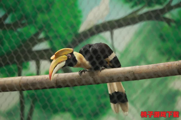 奇幻疯狂动物园：全系列骑士头盔帽子图鉴，解锁独特风格与冒险魅力！