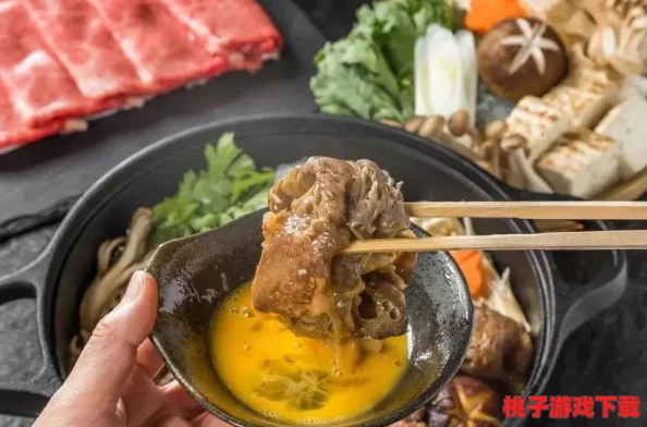 日本替夫还帐，妻子背后惊人秘密曝光，离婚后的财产争夺战引发社会热议！