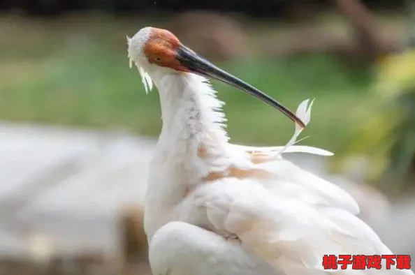 亚洲男人的天堂少女级品呐衣倮露视频香蕉：震惊！全球首个香蕉主题乐园即将在亚洲开幕，吸引无数游客前来体验奇妙之旅！
