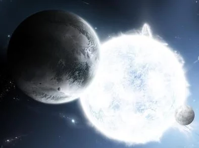 一个释放蝌蚪的网站：曝光明星们私藏珍稀蝌蚪，背后竟隐藏这些秘密！